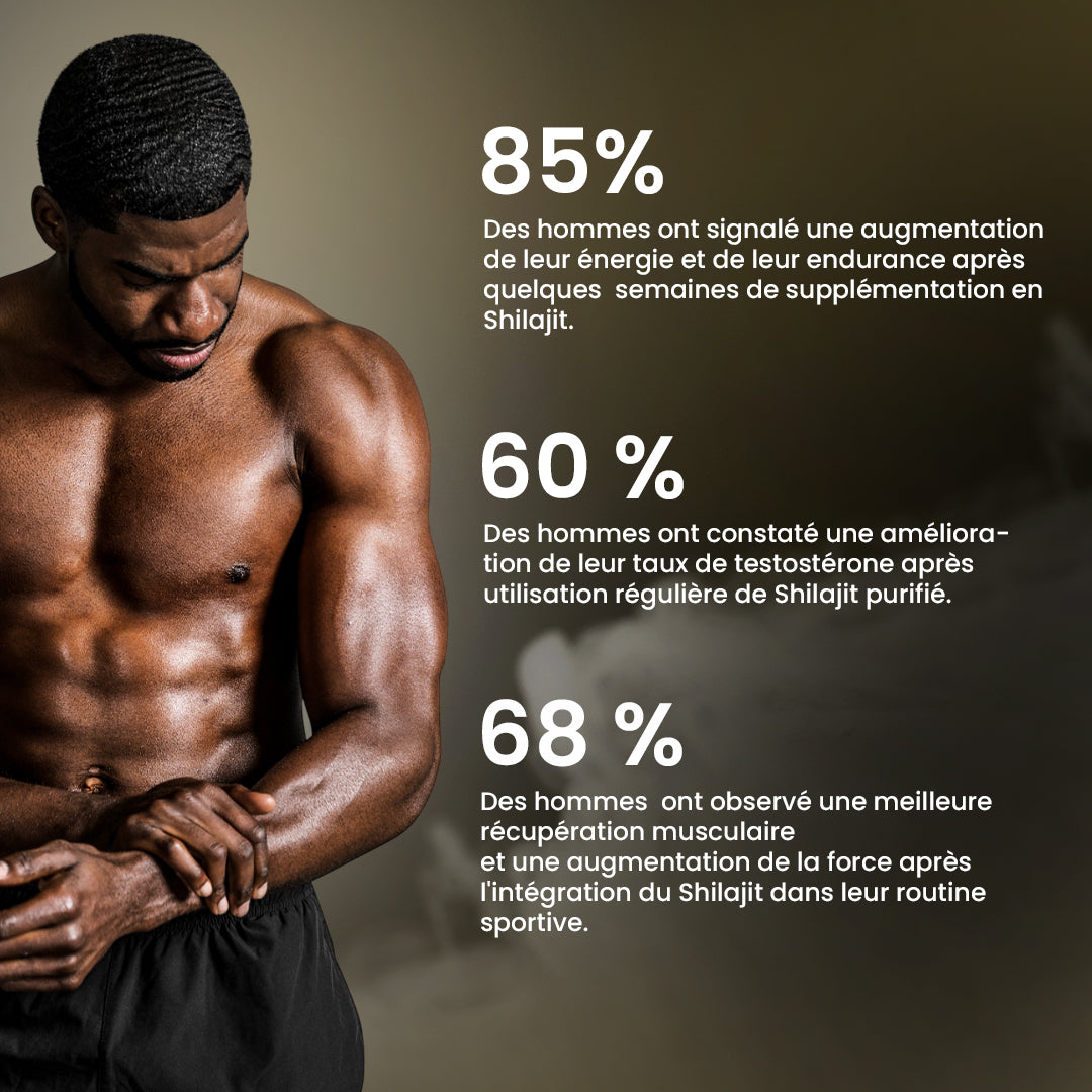 PowerPlus - Résine de Shilajit