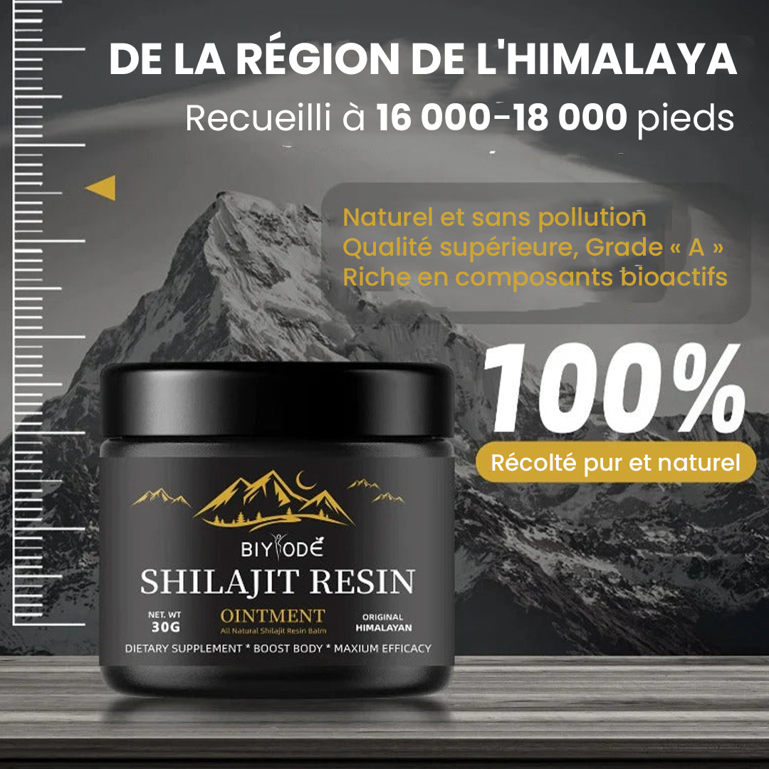 PowerPlus - Résine de Shilajit