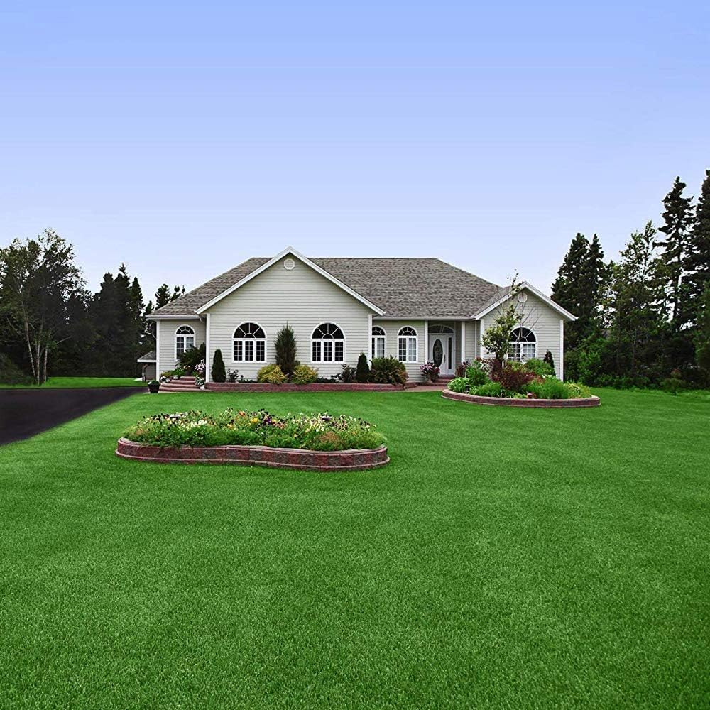 Grain d'herbe hybrides