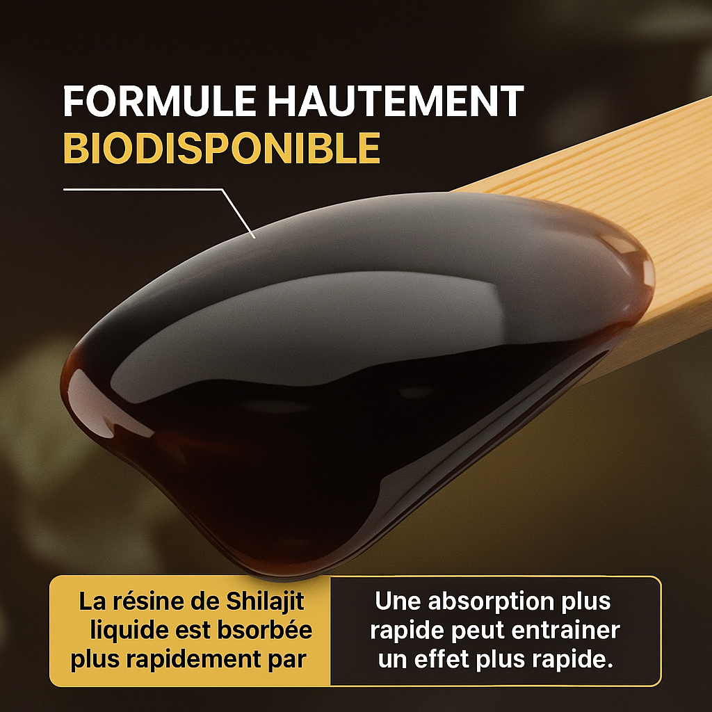Shilajit Gold de l’Himalaya – Énergie, Esprit, Force