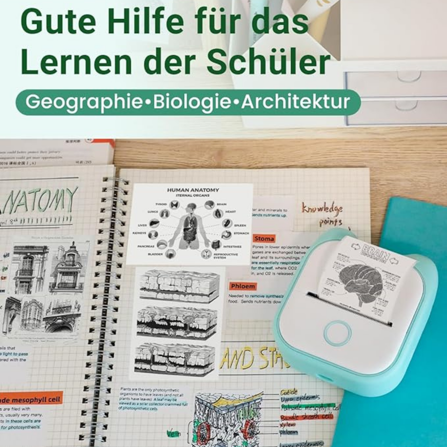 Imprimante Portable Tiny Printer