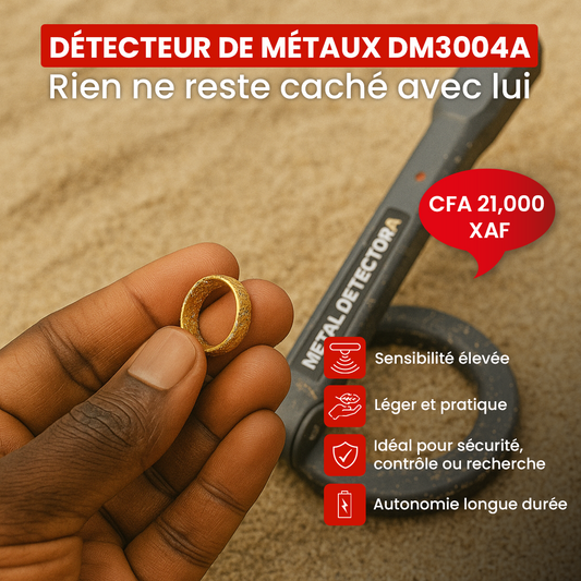 Détecteur de Métaux DM3004A - Scanner Portatif Haute Sensibilité