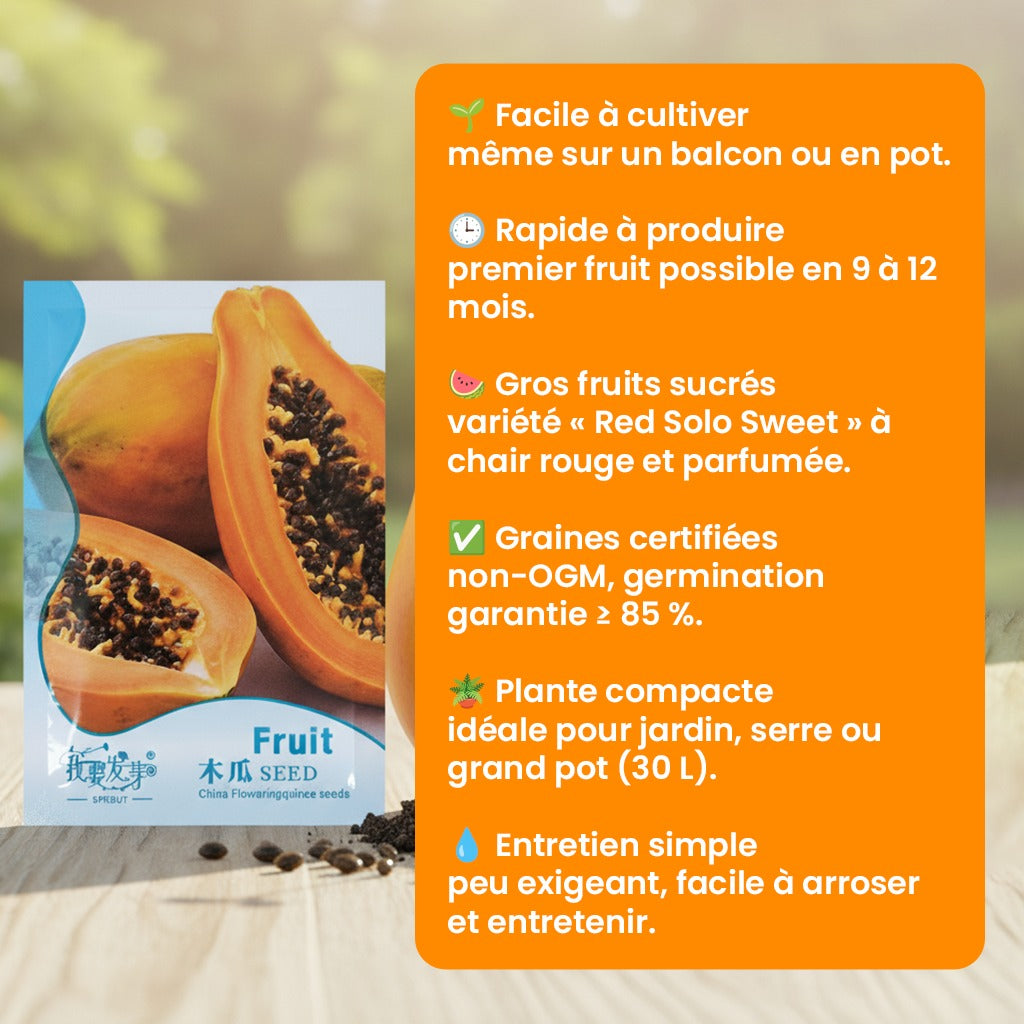 Graines de Papaye Bio