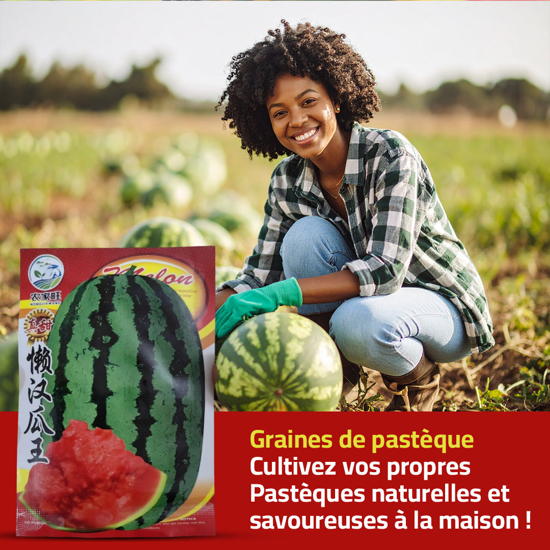 Graines de Pastèque naturelles et savoureuses à la maison !