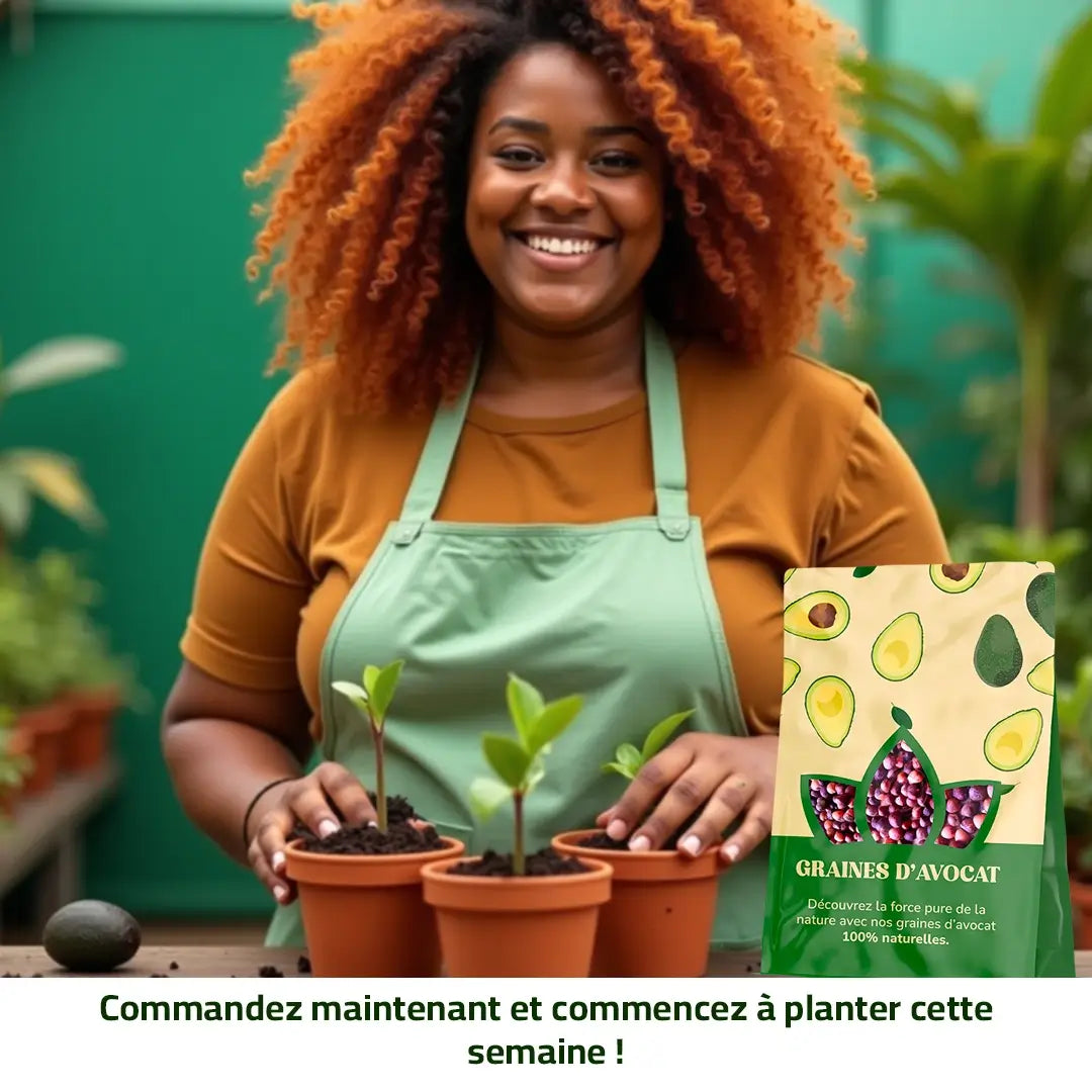 Graines d’Avocat - naturels chez vous, sans produits chimiques !
