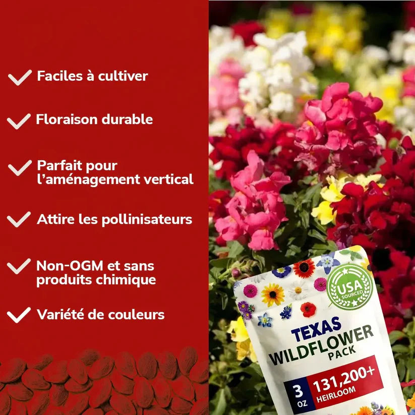 Graines de Roses Grimpantes Élégantes: Un Jardin Magique !