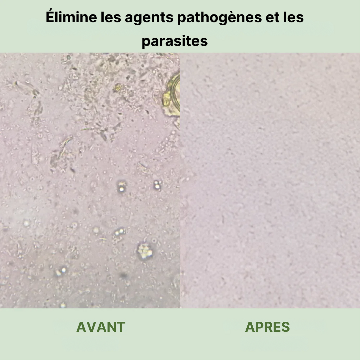 Oregamix – Complexe naturel pour l’équilibre et la vitalité