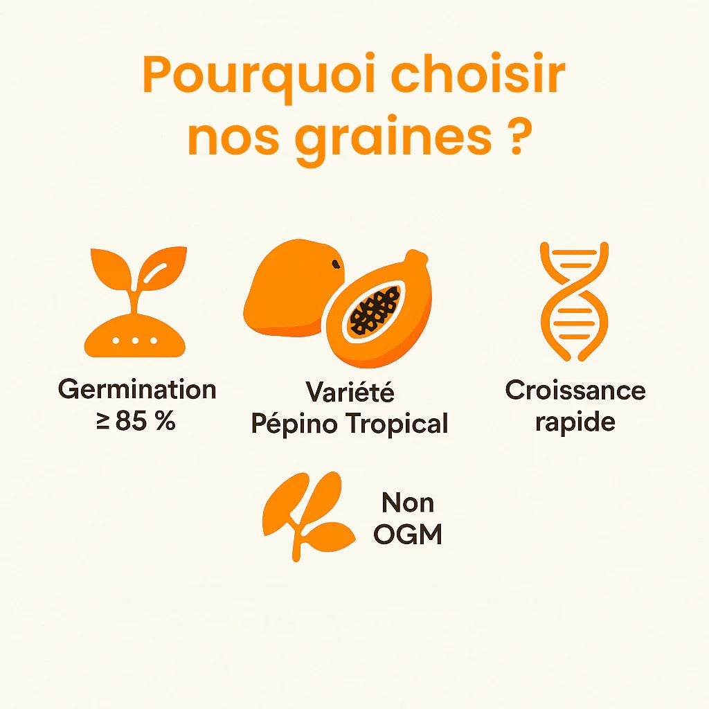 Graines de Papaye Bio