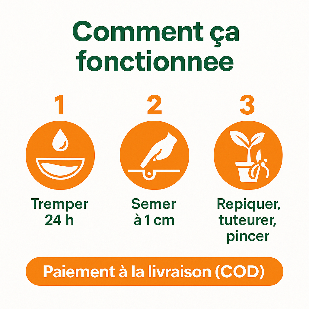 Graines de Papaye Bio