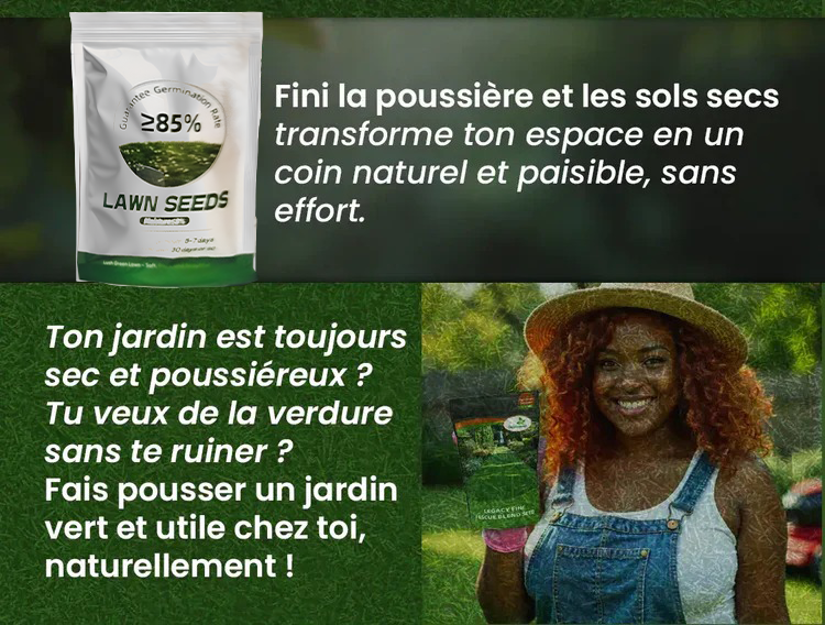 Grain d'herbe hybrides