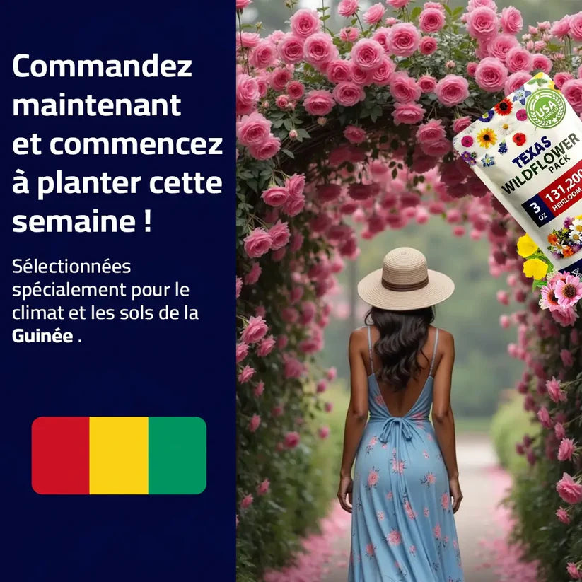 Graines de Roses Grimpantes Élégantes: Un Jardin Magique !