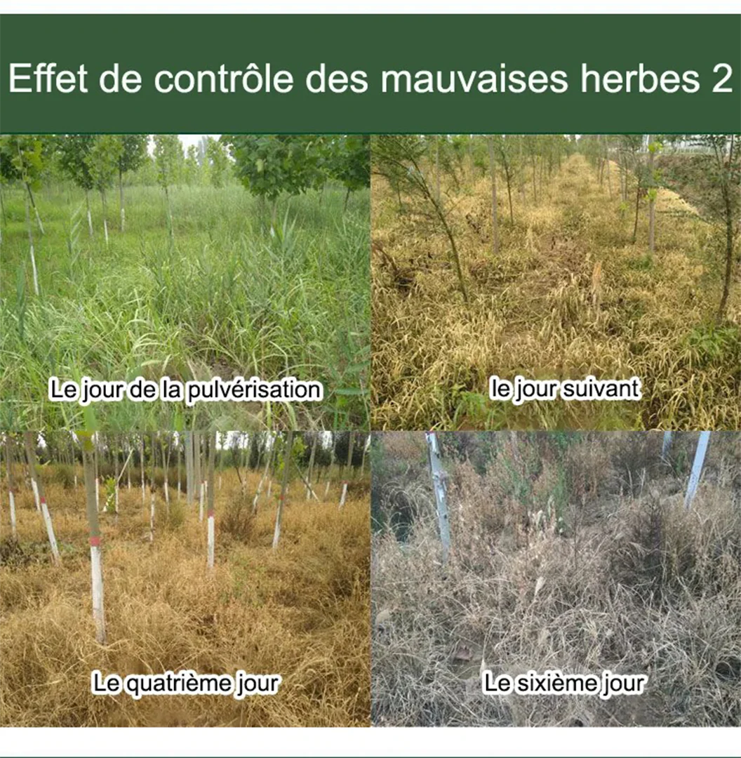 HerbiClean™ – Désherbant Professionnel à Action Rapide