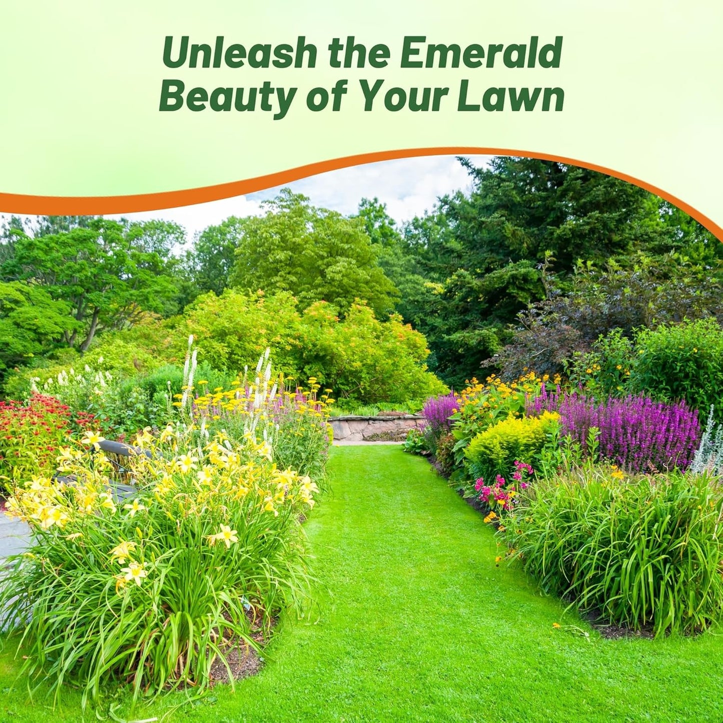 Grain d'herbe hybrides